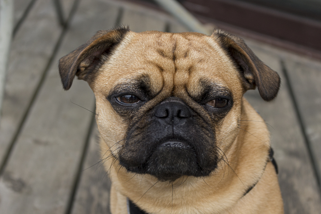 Not Impressed