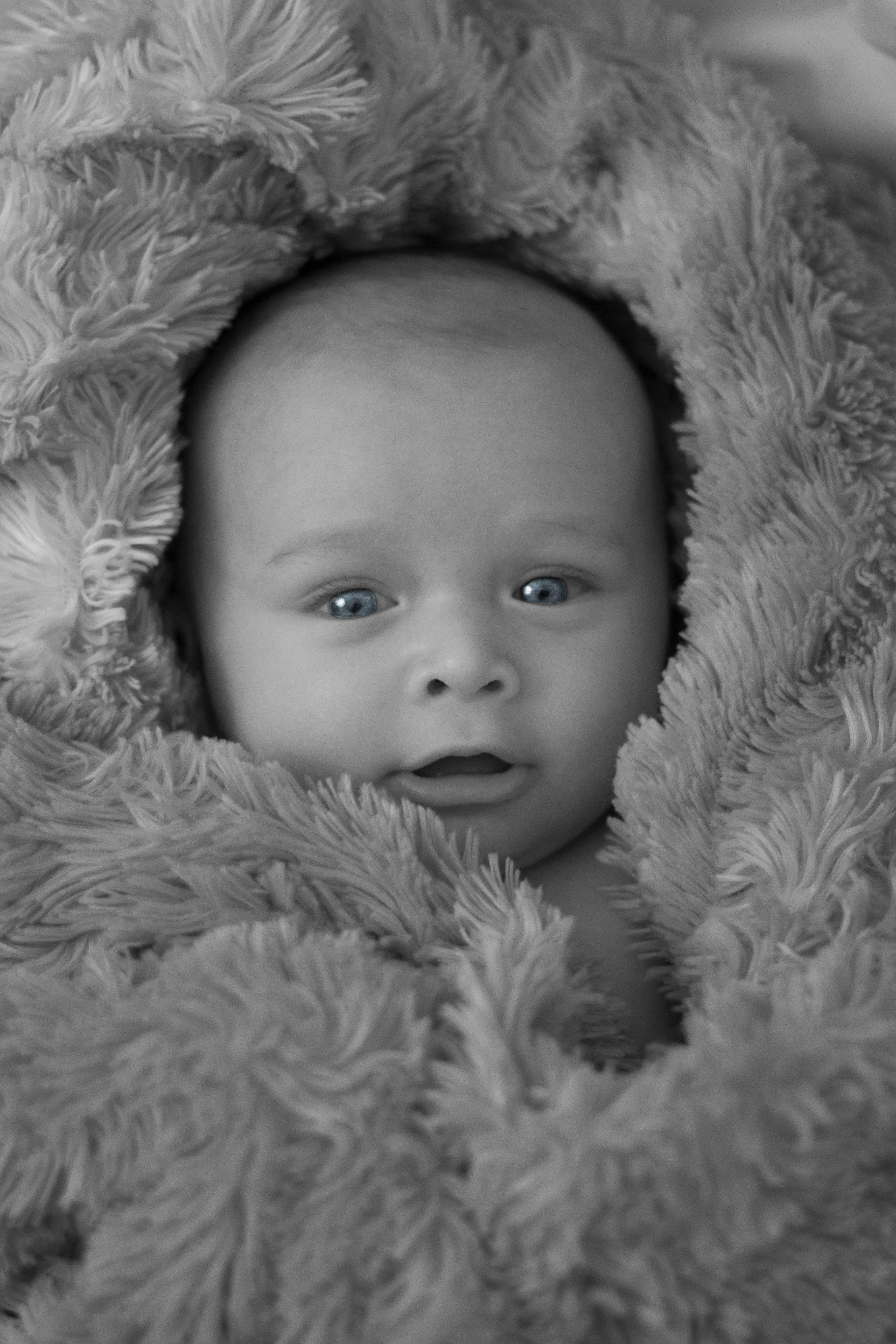 Baby In A Blanket