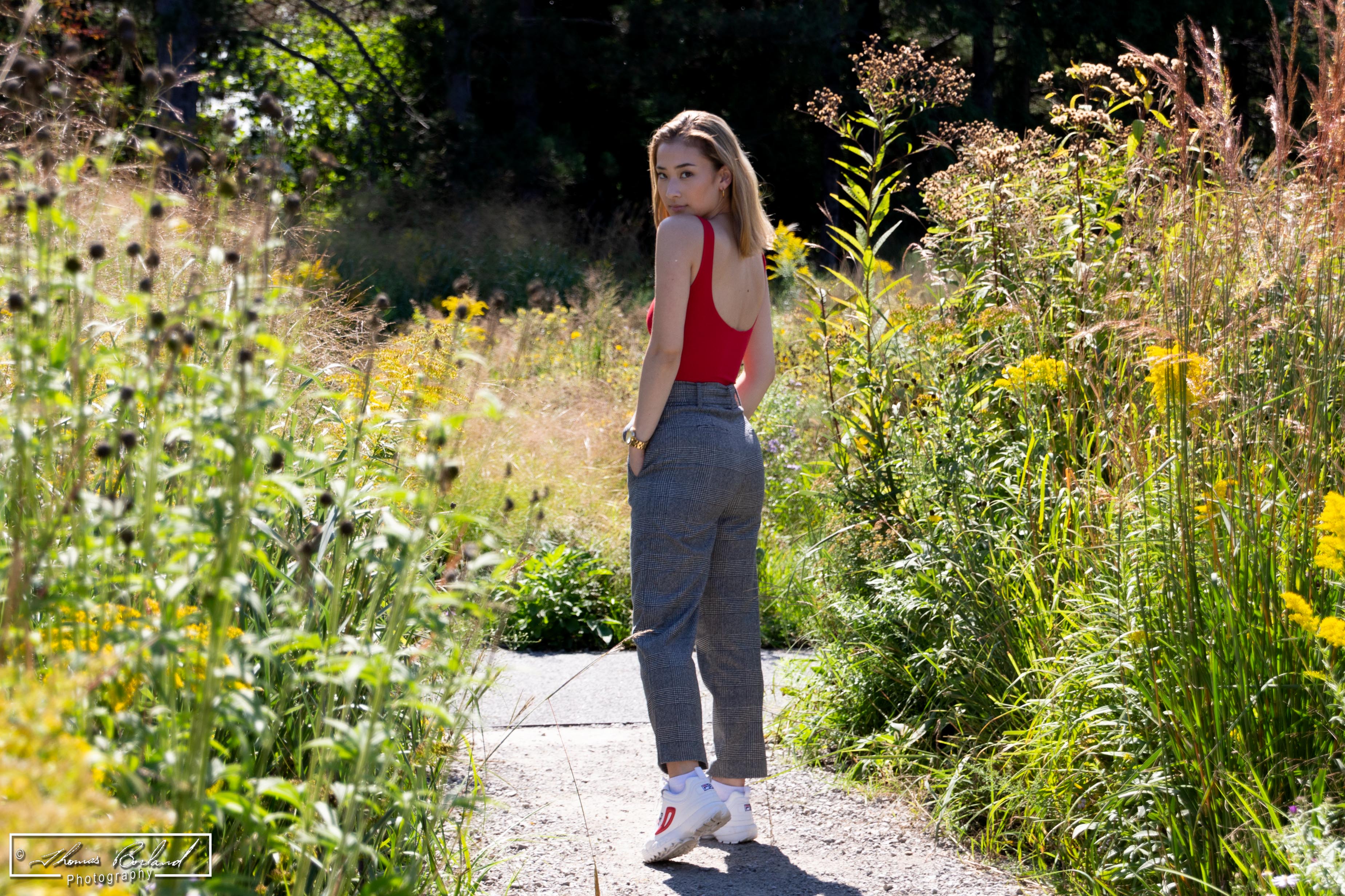 Looking Back